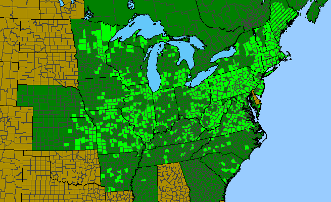 The range of Rubus pensilvanicus